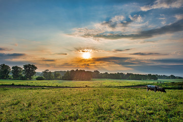 Rural landscape with sun behind clouds, early morning
