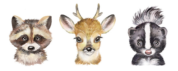 Watercolor set with forest animals. Raccoon, deer, skunk, cute baby animals.
