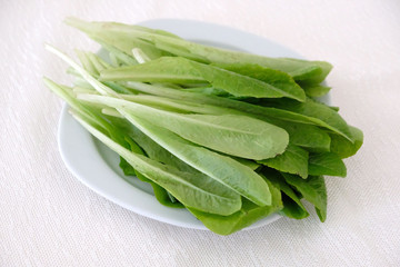 fresh and organic lettuce, organic lettuce leaves in a plate,