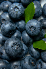 Blueberry Background. Fresh ripe blueberries with green leaves close-up. Macro photography of berries. Blueberry texture. Healthy berry, organic food, antioxidant, vitamin, blue food