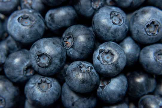 Blueberry Background. Fresh ripe blueberries close-up. Macro photography of berries. Blueberry texture. Healthy berry, organic food, antioxidant, vitamin, blue food