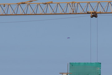 ovni en Miraflores 9