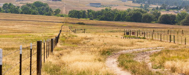 Late summer on the Colorado plains southeast of Denver