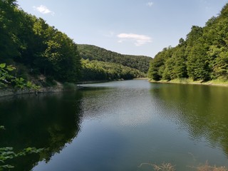 lake in the forest