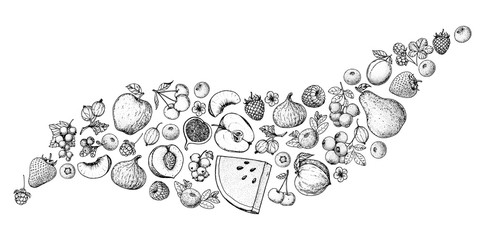 Berries and fruits sketch collection. Hand drawn vector illustration. Food illustration. Hand drawn berry and fruit set. Engraved style.