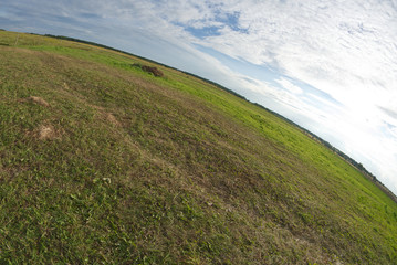 Obraz premium Blue abstract sky background, grass at field. Photo taken on a wide-angle lens.