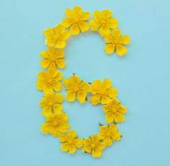  Number 6 on a blue background from yellow bright spring flowers. Children's age, baby month, symbol of flowers