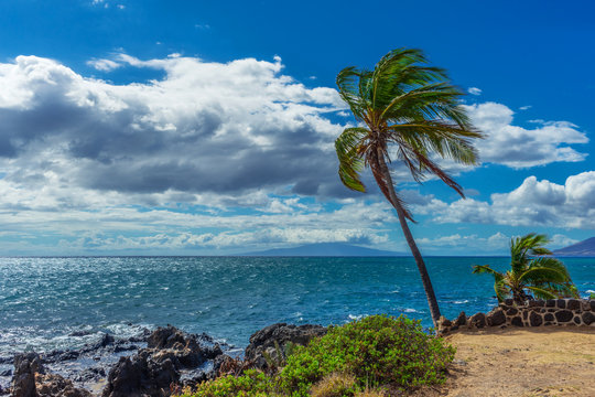 A view of the island of Lanai from the shore of Kihei, Hawaii with a palm tree blowing in the trade winds on the Island of Maui. 