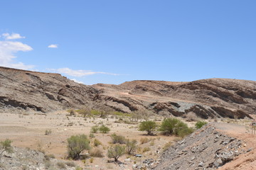Fototapeta na wymiar dry River in the desert
