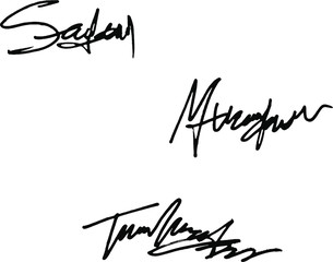 Manual signature for documents on transparent background. Autograph for convention. Calligraphy lettering raster illustration. Doodle office lettering. Hand drawn Calligraphy lettering. EPS 10 