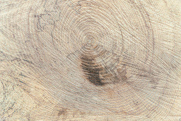 abstract background of cross section of a sawn tree with annual rings close up