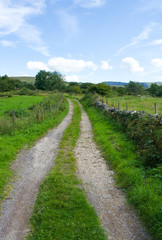Fototapeta na wymiar A pretty country lane runs through lush green fields in rural Wales, near Caernarfon.