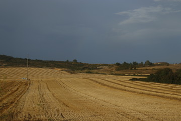 Fototapeta na wymiar Hay bales in the field