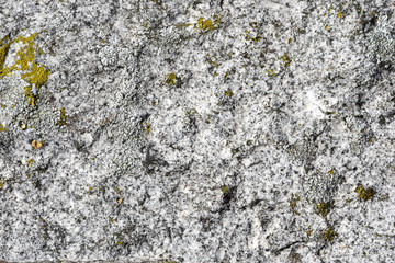 texture of stone