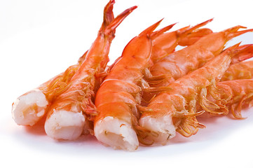 shrimp close-up