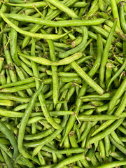 French beans, string beans, snap beans stacked up