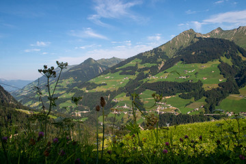 Grosses Walsertal Berge