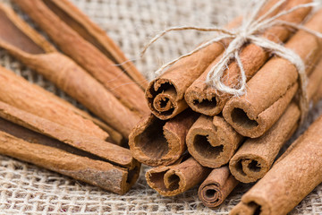 Dry cinnamon bark tied in a bunch on a burlap background.