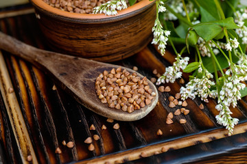 Dry uncooked buckwheat in wooden spoon. Food for raw food and vegans. Ingredient for healthy food for weight loss.