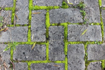 street flooring tiles with bright moss