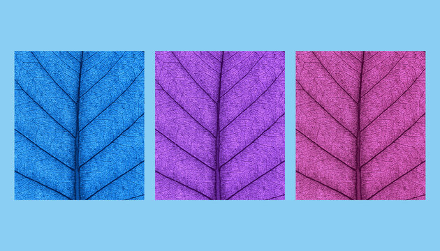 Leaf natural background concept abstract colored 3d rendering