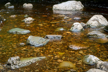 stream in the forest