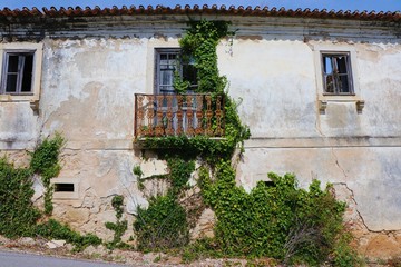 Fototapeta na wymiar the old house with hedera ivy