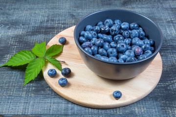 blueberry berry in dark gray ceramic bowl on dark blue wooden background.