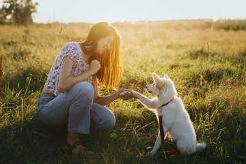 Adorable fluffy puppy giving paw to girl owner and having treat. Woman training cute white puppy to...
