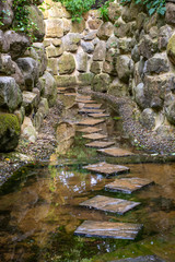 Stone path on the river in the forest