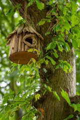 bird house in the forest