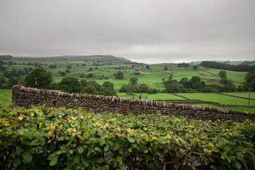 Dry stone walls in Yorkshire Dales, England. 