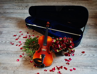 Viola with Case