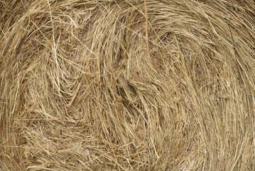 haystacks in a village field, closeup of round haystack, blurred background