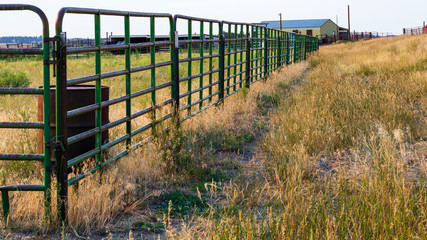 Pastoral scene of a late summer afternoon of a farming area near Denver with barn, corrals, pasture grass © patrish jackson