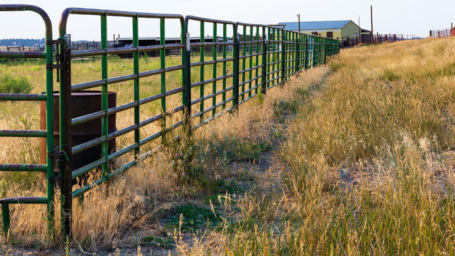 Pastoral scene of a late summer afternoon of a farming area near Denver with barn, corrals, pasture grass