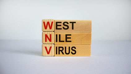 Concept words 'WNV, West Nile virus' on cubes and blocks on a beautiful white background. Business concept. Copy space.