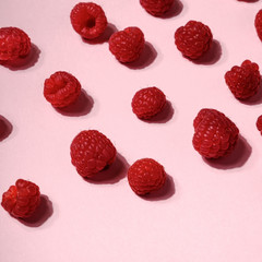 A beautiful selection of freshly picked ripe red raspberries on trendy pink background. Colorful diet and healthy food concept. Flat lay