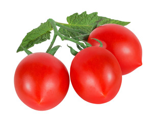Tomatoes on a branch  with leafs isolated on white background with clipping path