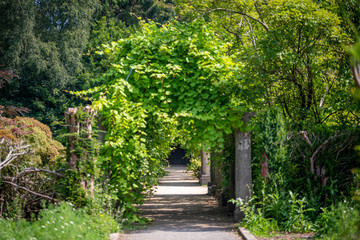 alley in the park