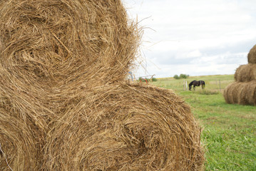 haystacks in a village field, bales of hay lie on top of each other