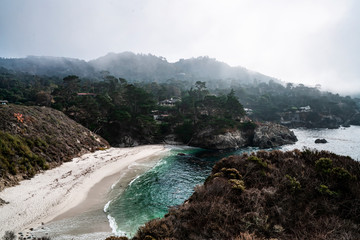Foggy Point Lobos Shoreline