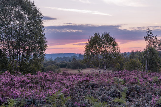 EupenMalmedy Bilder Durchsuchen 604 Archivfotos, und