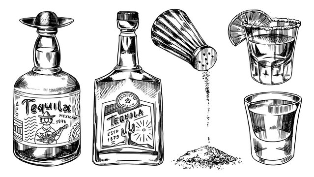 Tequila bottles and salt shaker. Glass Shots with Alcoholic Drink and Lime. Engraved hand drawn vintage sketch. Woodcut style. Vector illustration for menu or poster.