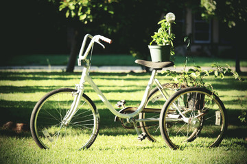 Fototapeta na wymiar A nice vintage bike for decoration in someone's yard 