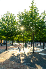 長崎県佐世保市　佐世保港の風景