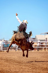 Cowboy Rides A Bucking Bull