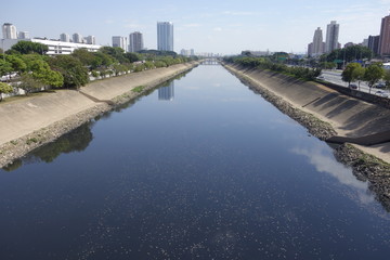 Fototapeta na wymiar dark waters of Tiete river reflecting the sky and buildings. Sao Paulo, Brazil 