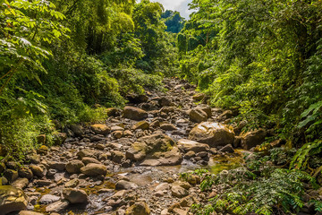 A view of a stream on Mount Soufriere in Saint Vincent