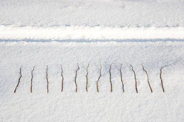 Landart: Zw&ouml;lf Zweige im Schnee